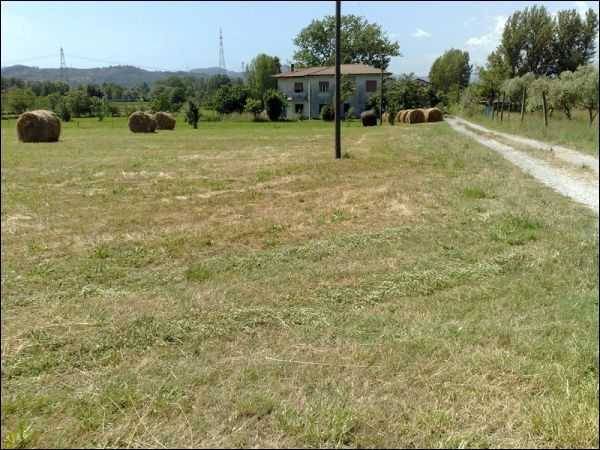 In Vendita Terreno Agricolo Sarzana Rif Ri