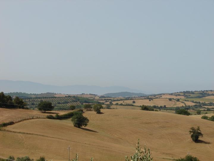 Terratetto in zona Montiano a Magliano in Toscana